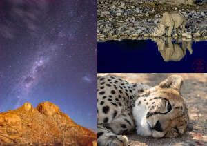 Monday 3rd November - Monday Evening Zoom 